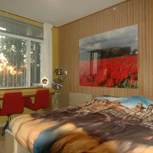 Bed and breakfast Tulip Gallery Ámsterdam